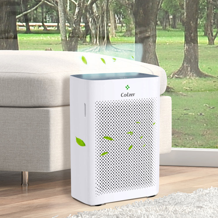 Colzer air purifier with true hepa sales air filter